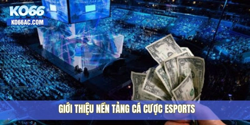 Hướng dẫn cách Cá cược thể thao điện tử cho người mới Ko66 2 Giới thiệu nền tảng cá cược eSports