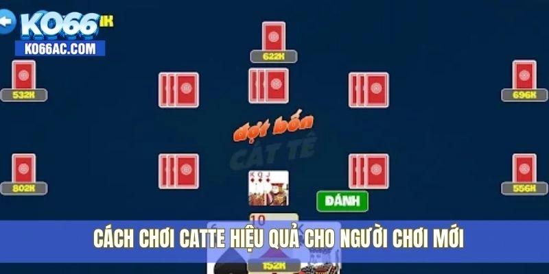 Tìm hiểu cách chơi Catte bài bản dành cho tân thủ tại Ko66 3 Cách chơi Catte hiệu quả cho người chơi mới