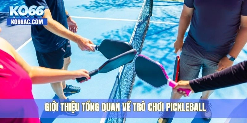 Cách chơi Pickleball chuẩn xác nhất từ chuyên gia Ko66 2 Giới thiệu tổng quan về trò chơi Pickleball