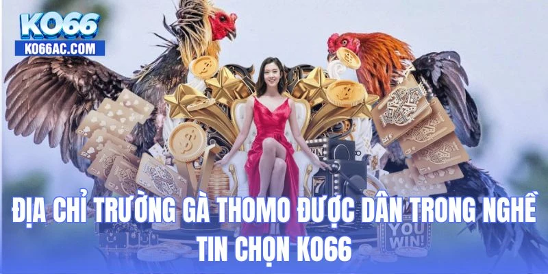 địa chỉ trường gà Thomo
