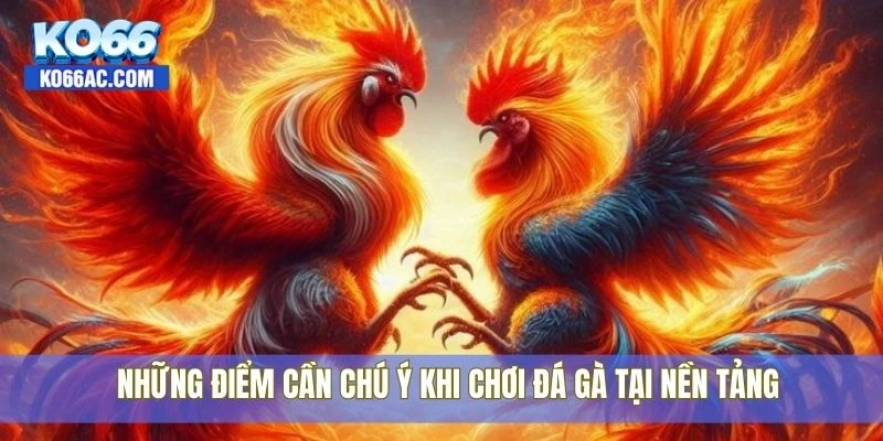Luật đá gà hiện hành có gì thay đổi? Xem chi tiết tại Ko66 3 Những điểm cần chú ý khi chơi đá gà tại nền tảng