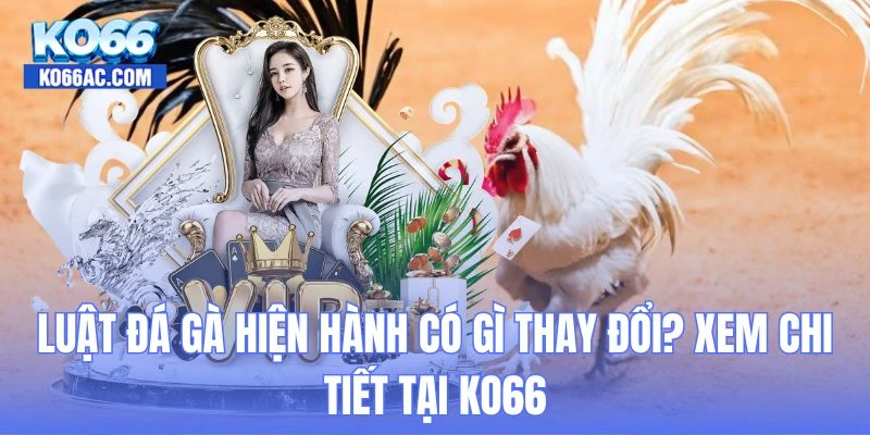 luật đá gà