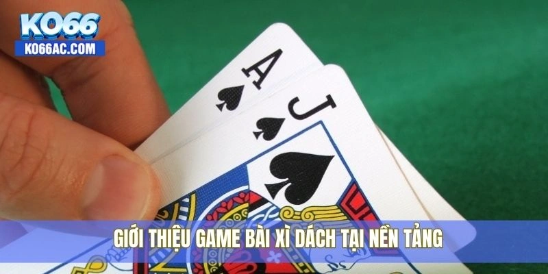 Luật xì dách hấp dẫn tại Ko66 – Đánh là mê, chơi là thắng 2 Giới thiệu game bài xì dách tại nền tảng