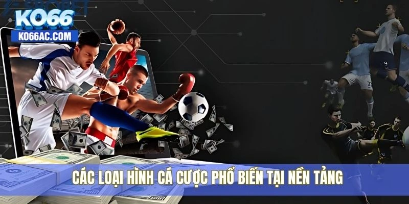 Cá cược thể thao Ko66 – Tỷ lệ kèo siêu chuẩn, cược siêu dễ 3 Các loại hình cá cược phổ biến tại nền tảng